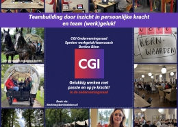 Heidagen teamkracht en werkgeluk voor de ondernemingsraad CGI door teamcoach Bertine Blom van Happy Business academy