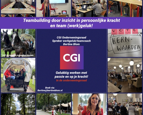 Heidagen teamkracht en werkgeluk voor de ondernemingsraad CGI door teamcoach Bertine Blom van Happy Business academy
