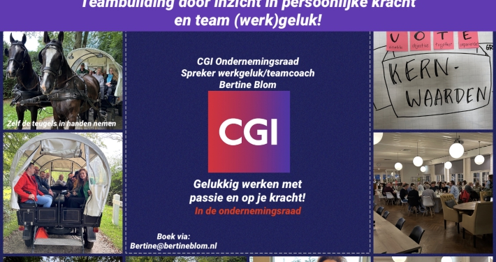 Heidagen teamkracht en werkgeluk voor de ondernemingsraad CGI door teamcoach Bertine Blom van Happy Business academy